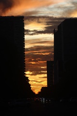 IMG_8774a.jpg